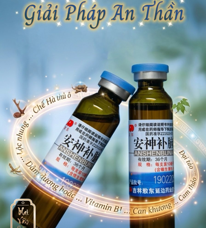 AN THẦN BỔ NÃO AO DONG 