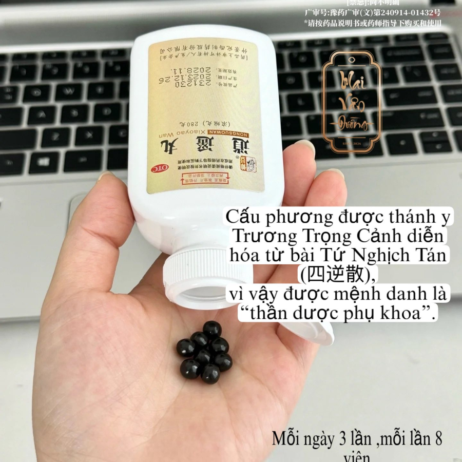 MAI VÂN ĐƯỜNG VÀ GIẢI PHÁP GIẢI ĐỘC CAN KHÍ UẤT