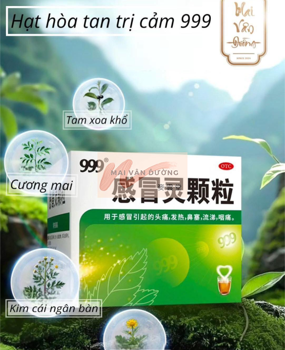 999 CẢM MẠO LINH - GIẢI CẢM HẠ SỐT NẶNG
