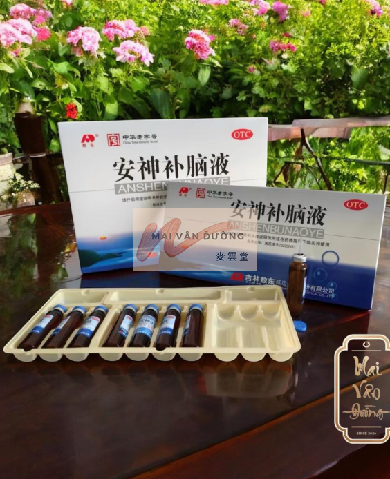 AN THẦN BỔ NÃO AO DONG – BÍ PHƯƠNG DƯỠNG NÃO