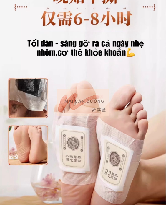 MIẾNG DÁN CHÂN NGUYÊN KHÍ PHỤC LINH BÁT TRÂN