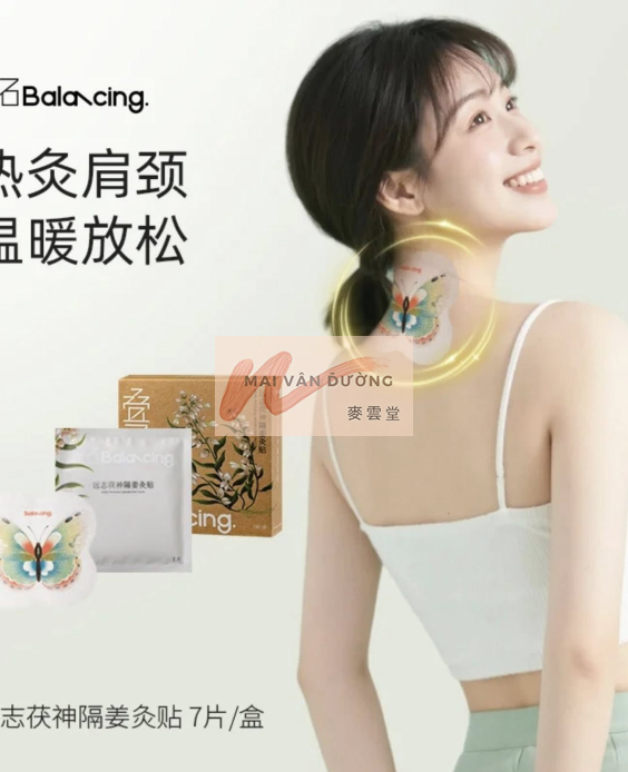 MIẾNG DÁN CỨU CÁCH GỪNG – HƯƠNG PHỤ – ĐƯƠNG QUY