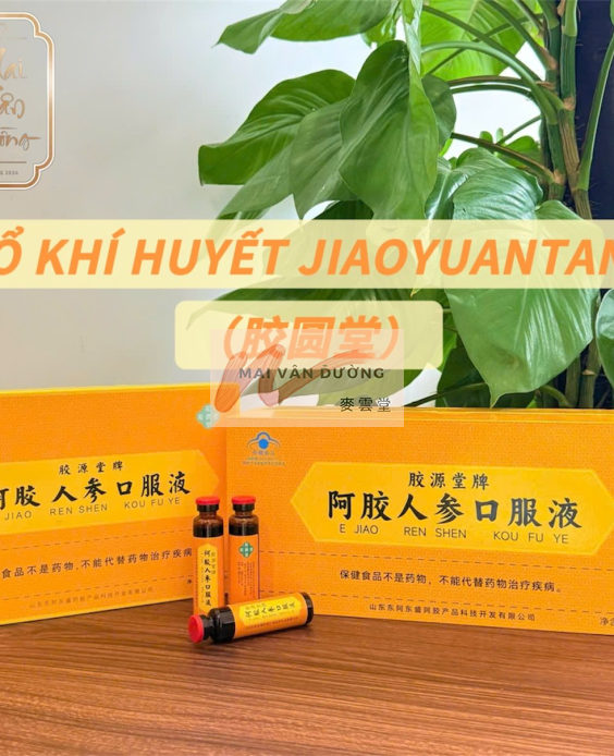 A GIAO NHÂN SÂM DƯỠNG KHÍ HUYẾT
