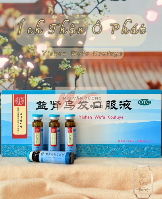  BỔ THẬN ĐEN TÓC - ÍCH THẬN Ô PHÁT 