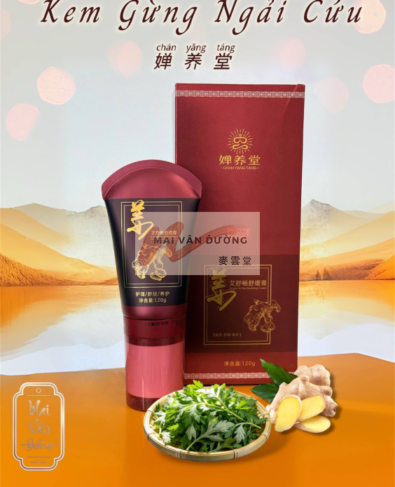 THANH LĂN KEM GỪNG NGẢI CỨU 
