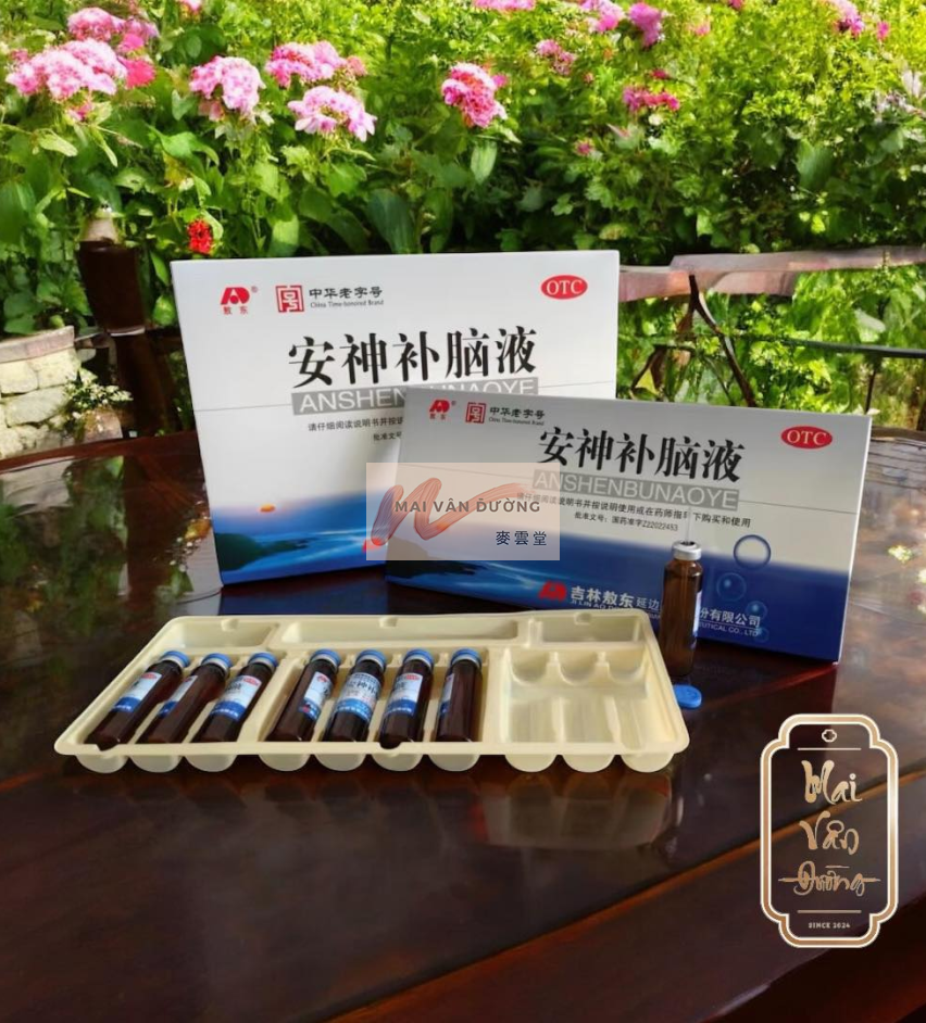 AN THẦN BỔ NÃO AO DONG – BÍ PHƯƠNG DƯỠNG NÃO