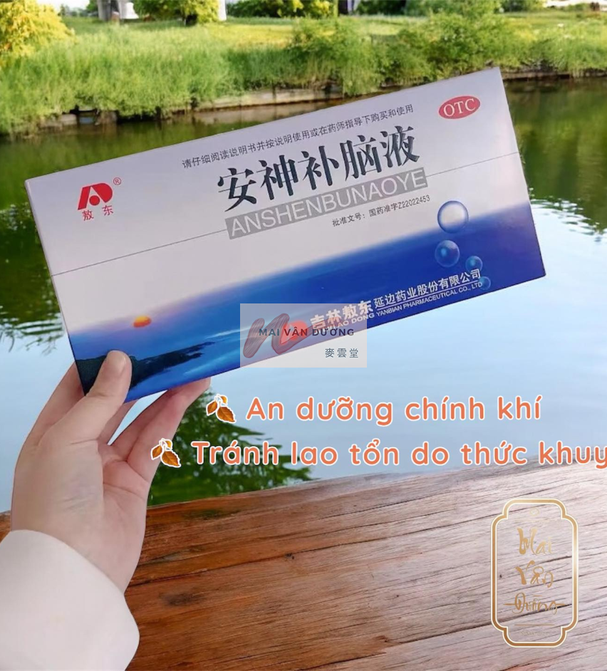 AN THẦN BỔ NÃO AO DONG – BÍ PHƯƠNG DƯỠNG NÃO