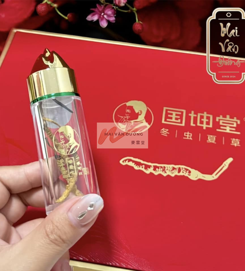 ĐÔNG TRÙNG HẠ THẢO 