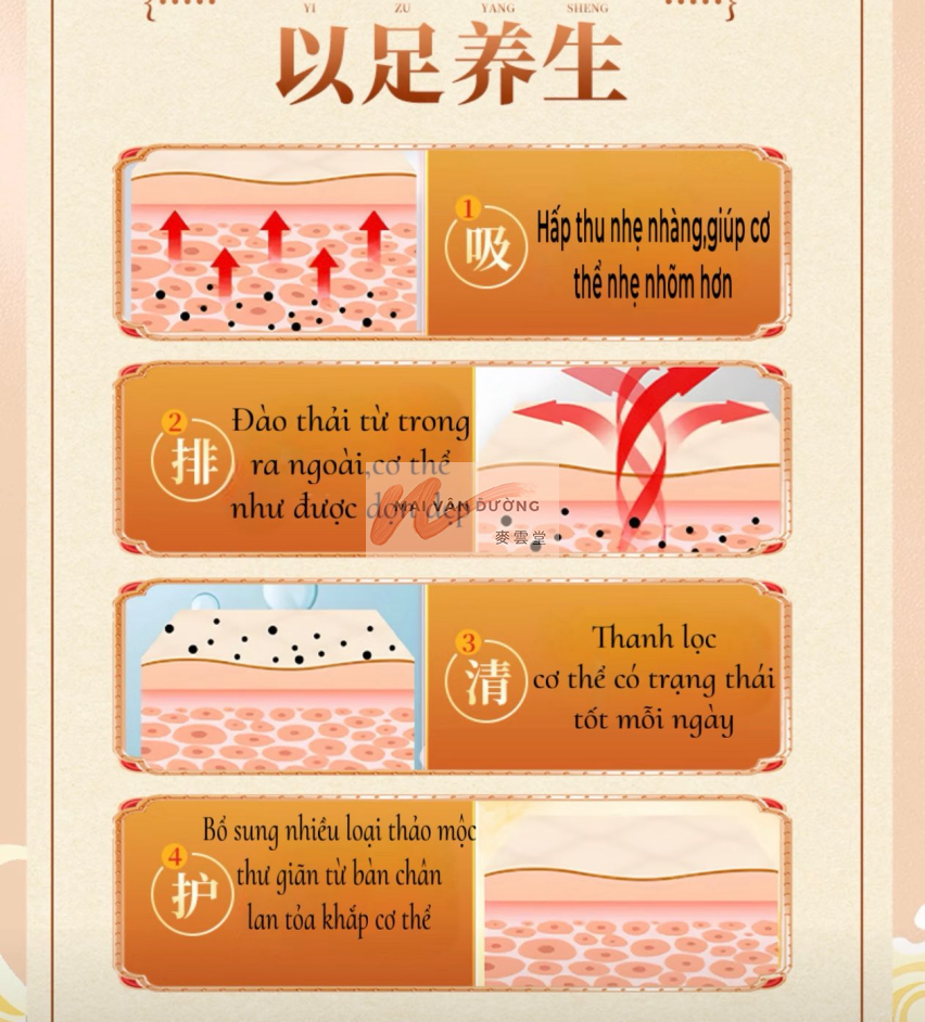 MIẾNG DÁN CHÂN NGUYÊN KHÍ PHỤC LINH BÁT TRÂN