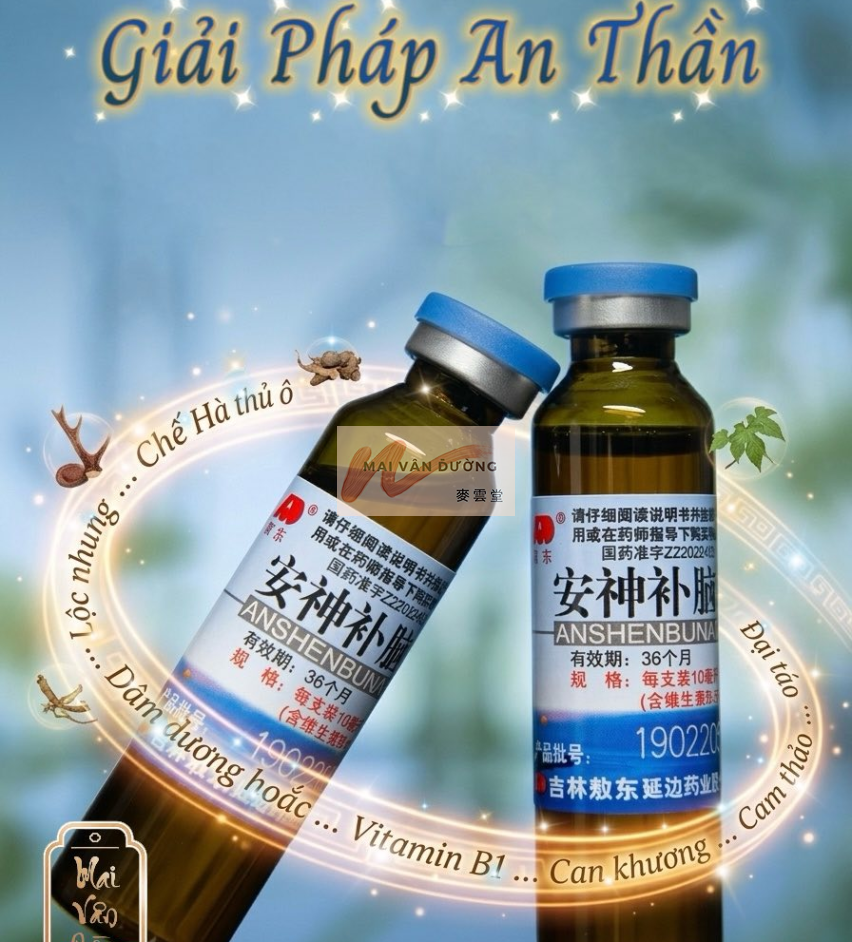 AN THẦN BỔ NÃO AO DONG 