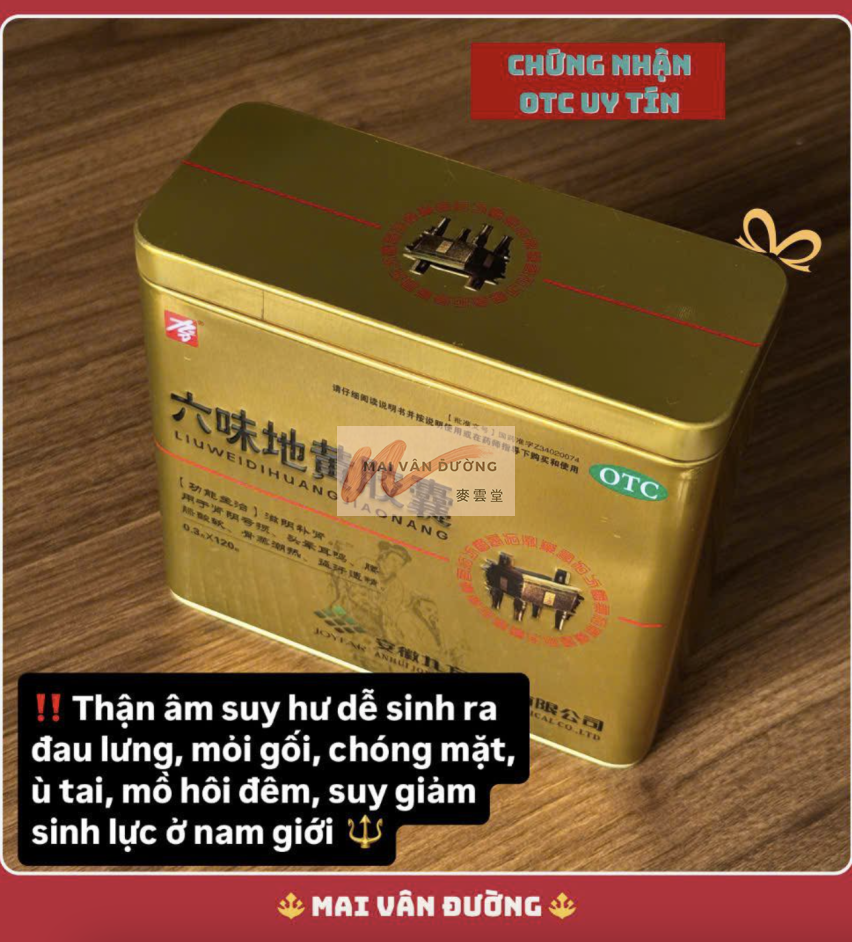  LƯU VĨ ĐỊA HOÀNG VIÊN -  六味地黄胶囊